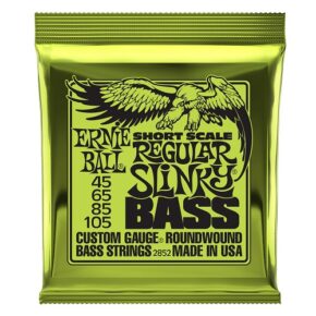 ERNIE BALL SHORT SCALE BASS - REGULAR- .045/.105