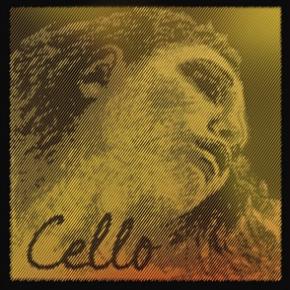 PIRASTRO EVAH PIRAZZI GOLD CELLO C (ROPE/TUNG) 4
